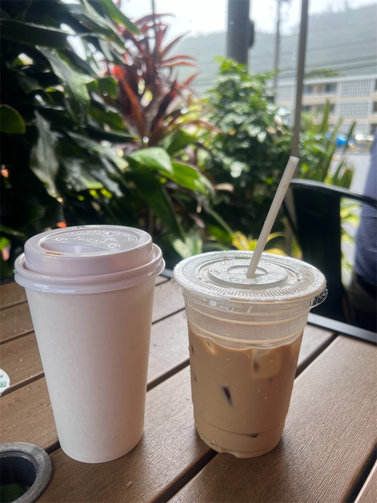 f:id:Toyoyo:20260611140221j:image