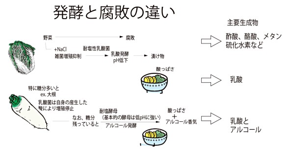 f:id:Toystory:20180925010558j:plain f:id:Toystory:20180925010558j:plain