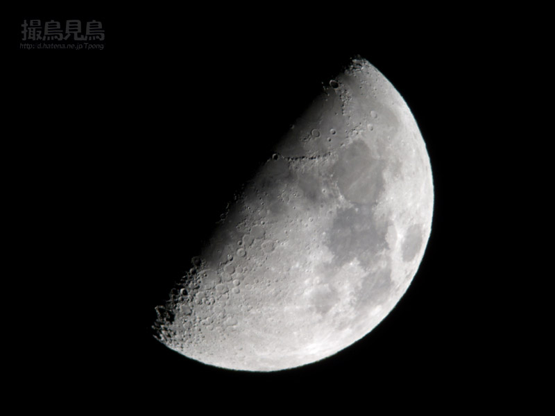 個別「[天体]上弦の月moon20071118」の写真、画像 - 撮鳥見鳥 fotolife