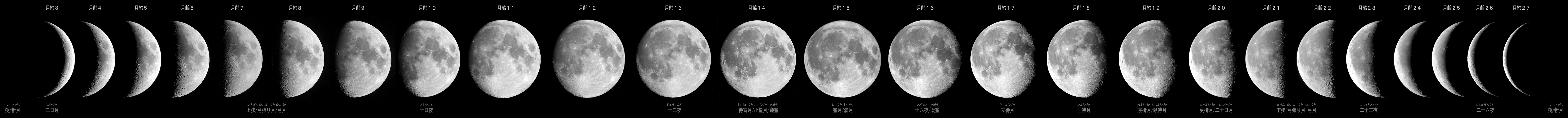f:id:Tpong:20081120115203j:image:w640
