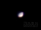 Venus20081207