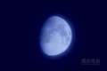 [月景色]紗の月moon20090107