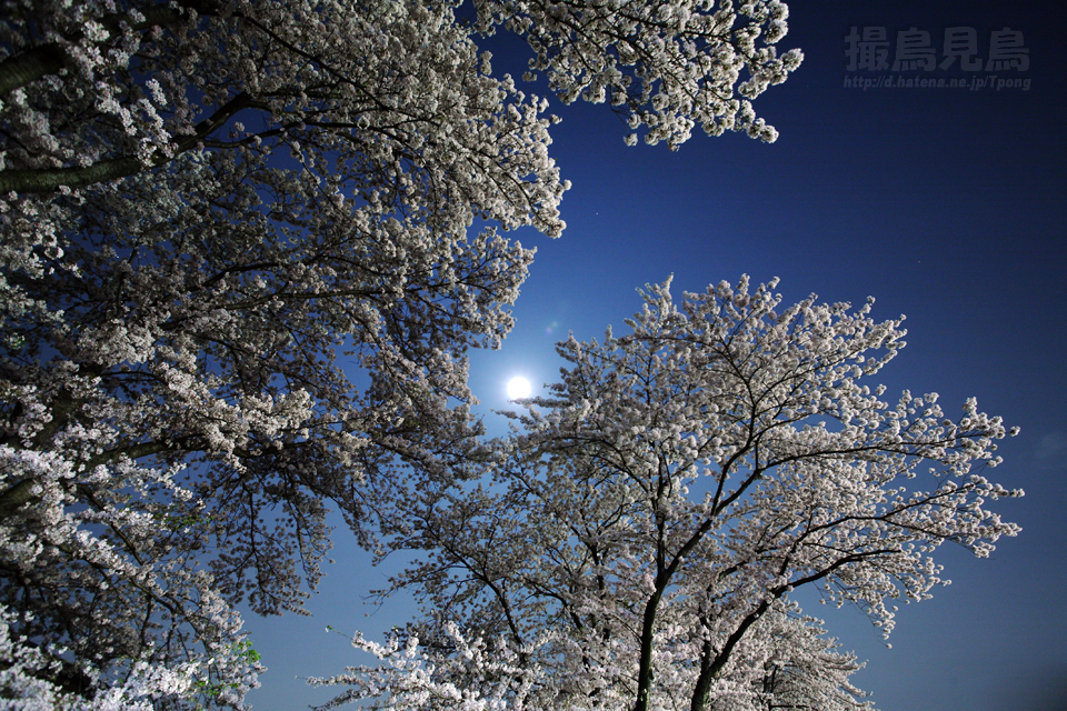 f:id:Tpong:20090408224013j:image:w320 f:id:Tpong:20090408224013j:image:w320