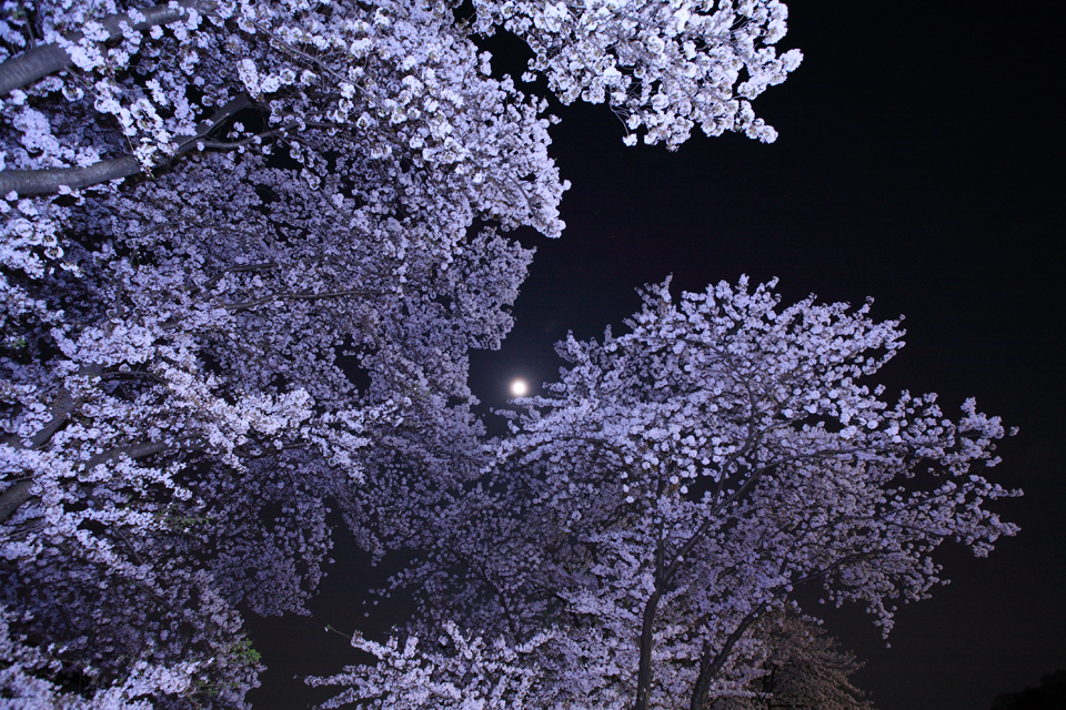 f:id:Tpong:20090423214013j:image:w320 f:id:Tpong:20090423214013j:image:w320