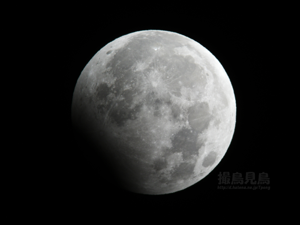 f:id:Tpong:20100101052519j:image:w640 f:id:Tpong:20100101052519j:image:w640