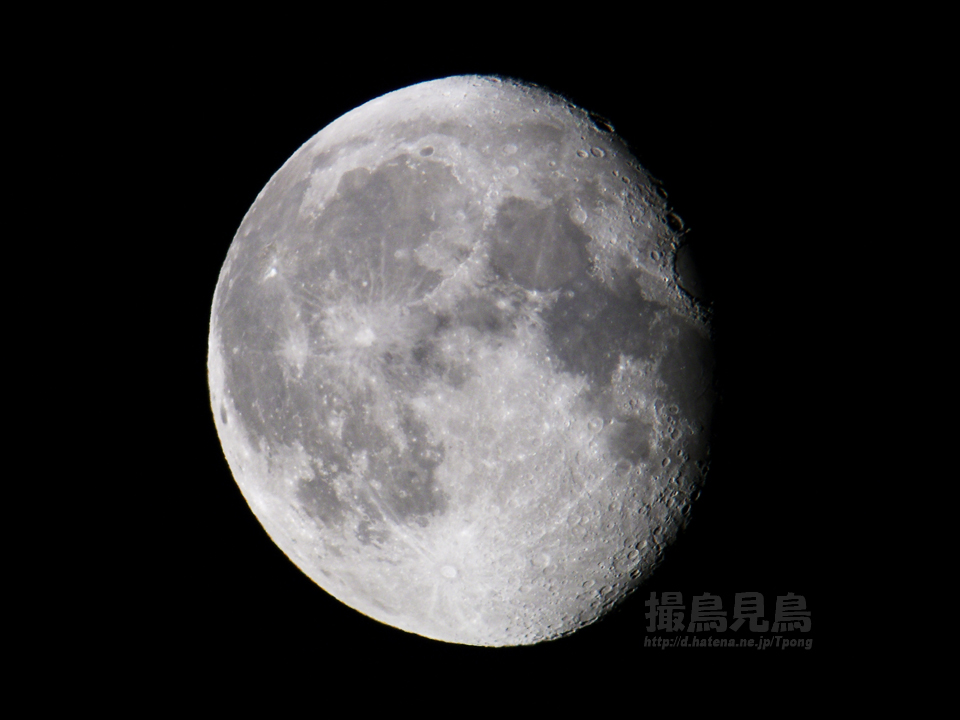 f:id:Tpong:20100501223535j:image:w640
