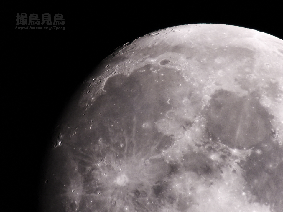 moon20110811雨の海界隈