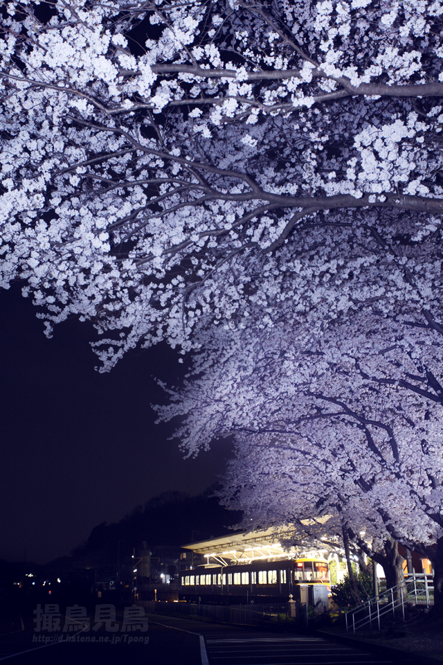 f:id:Tpong:20120410222605j:image:h640 f:id:Tpong:20120410222605j:image:h640