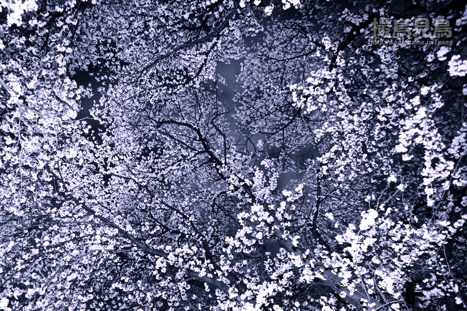 f:id:Tpong:20120410222618j:image:w640 f:id:Tpong:20120410222618j:image:w640