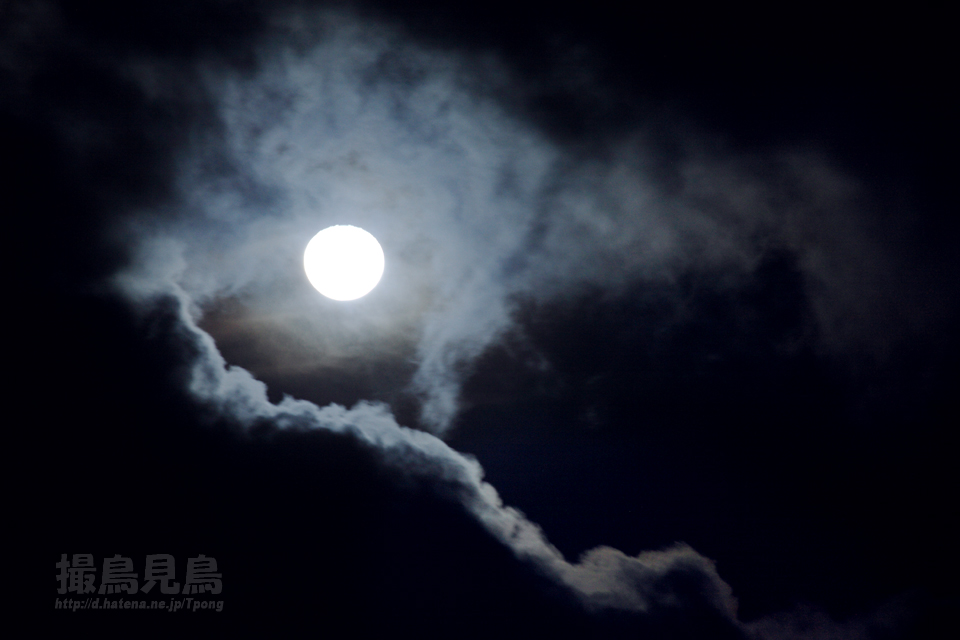 f:id:Tpong:20130129215904j:image:w640