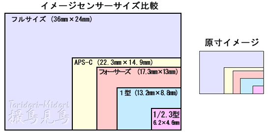 デジタルカメラと被写界深度 - 撮鳥見鳥 Toridori-Midori その弐