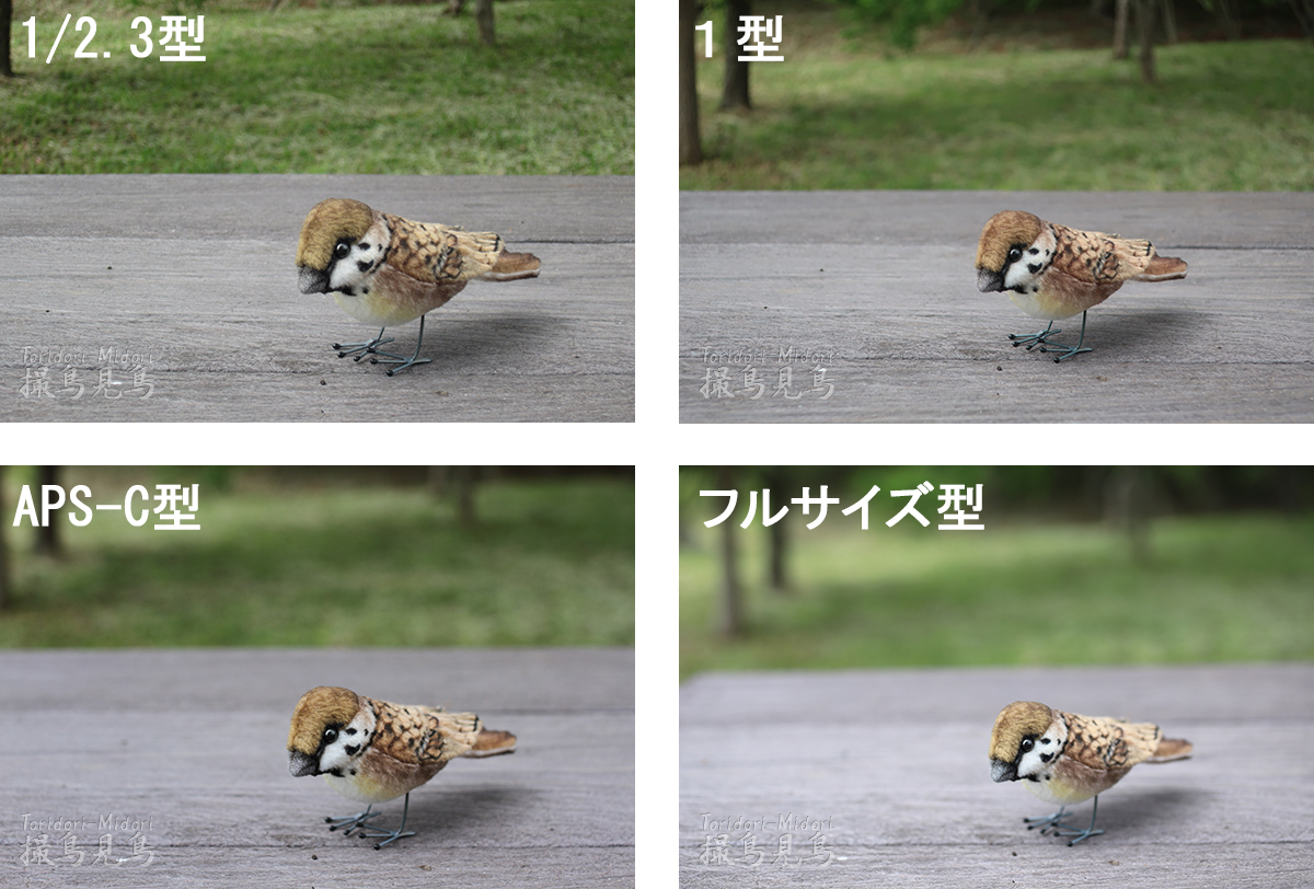 デジタルカメラと被写界深度 - 撮鳥見鳥 Toridori-Midori その弐