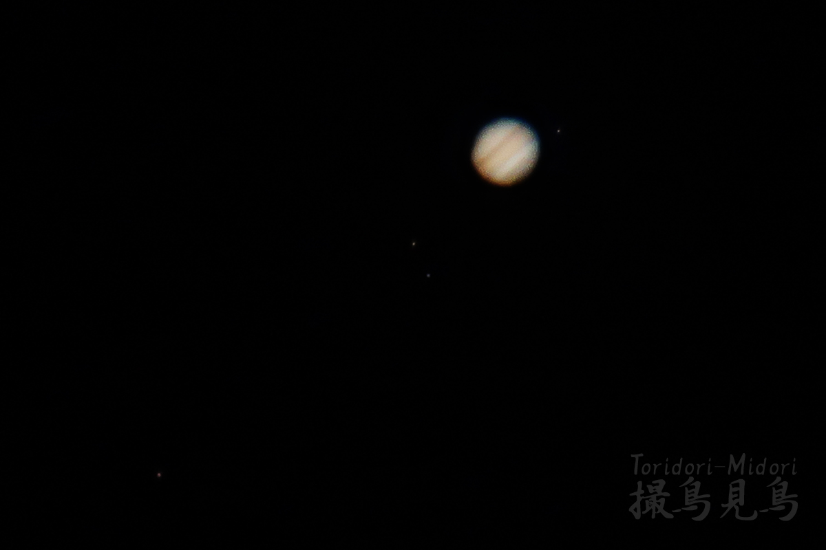 なんちゃってシステムで木星撮影 - 撮鳥見鳥 Toridori-Midori その弐