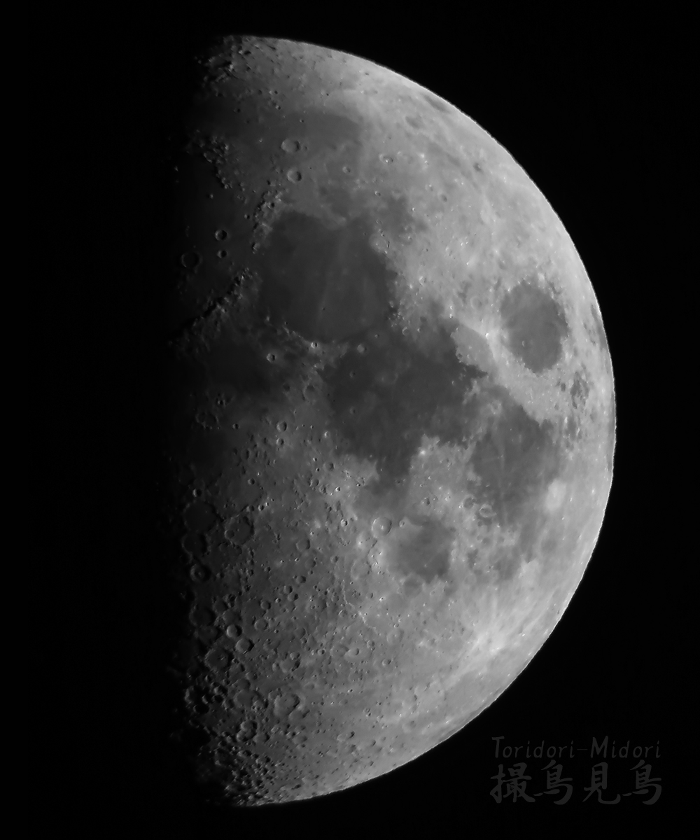 moon20191105_205329BW