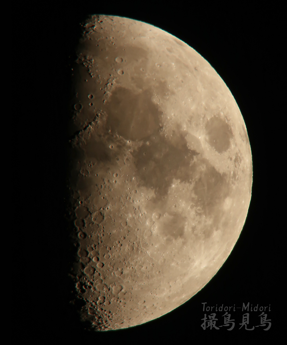 moon20191105_205329DL