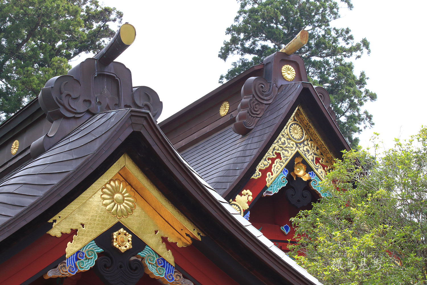 3F 【希少】志波彦神社・鹽竈神社「大吼祥瑞席」虎 色紙 額装 縁起物 汚れあり 宮城県・塩釜市】鹽竈神社と志波彦神社の不思議な御朱印｜いなばの白