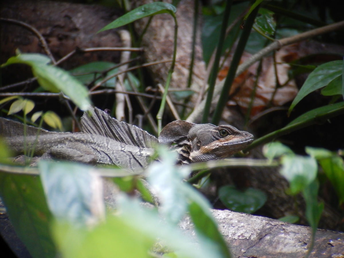 f:id:TraProak:20190508051332j:plain f:id:TraProak:20190508051332j:plain