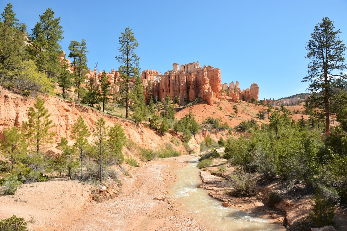 f:id:TraProak:20190607003903j:plain