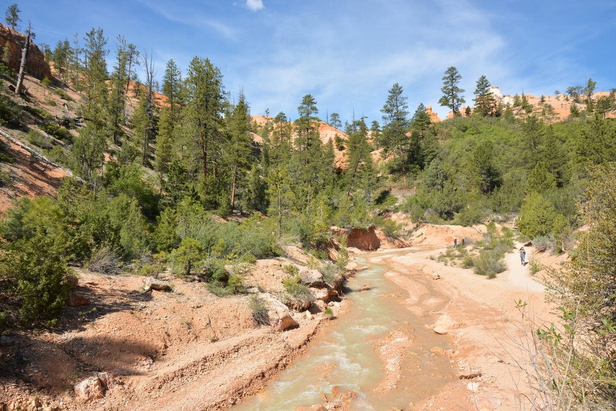 f:id:TraProak:20190607004122j:plain