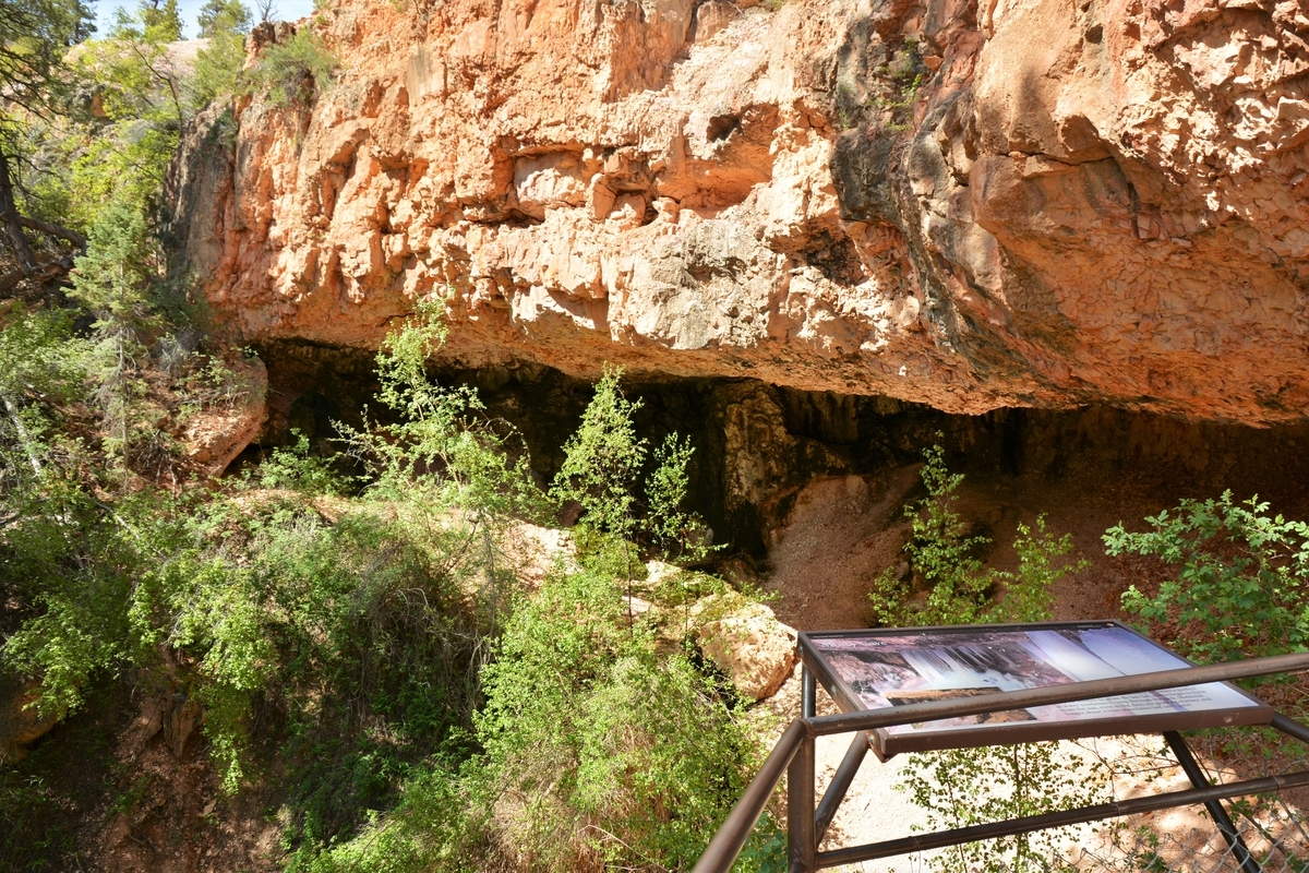 f:id:TraProak:20190607005328j:plain