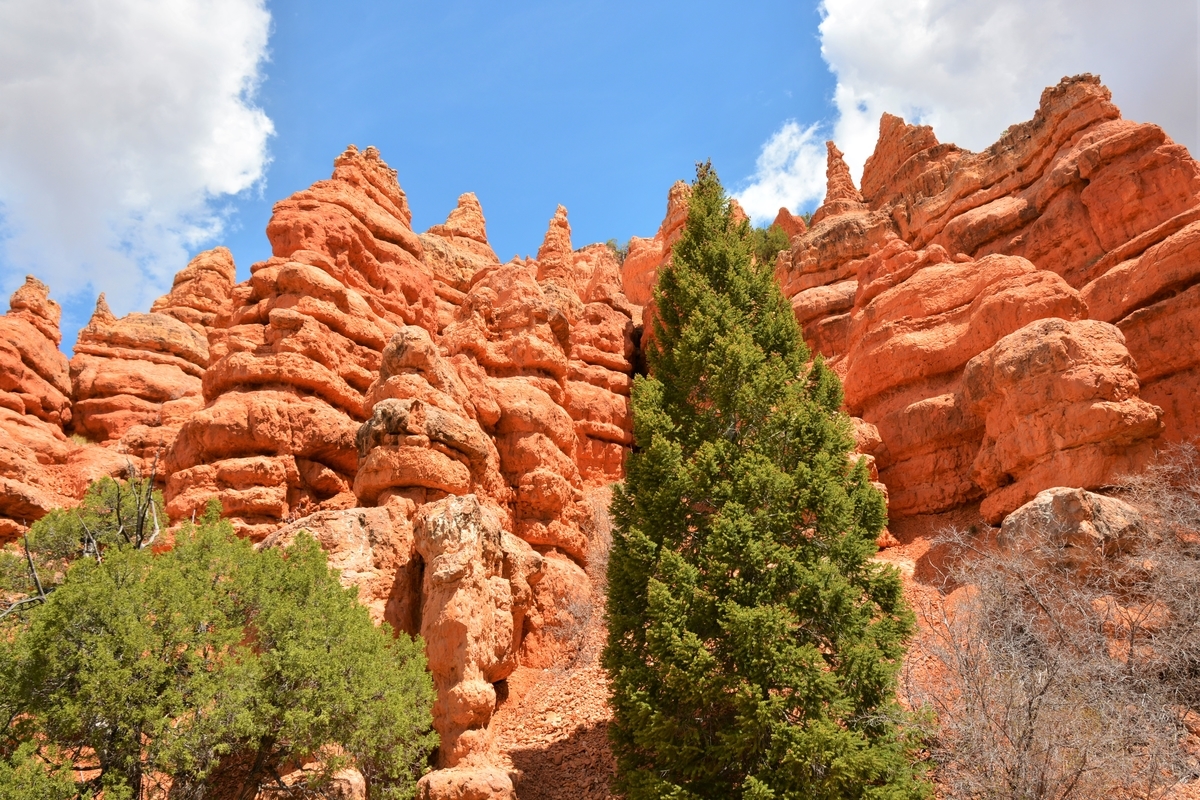 f:id:TraProak:20190607024737j:plain