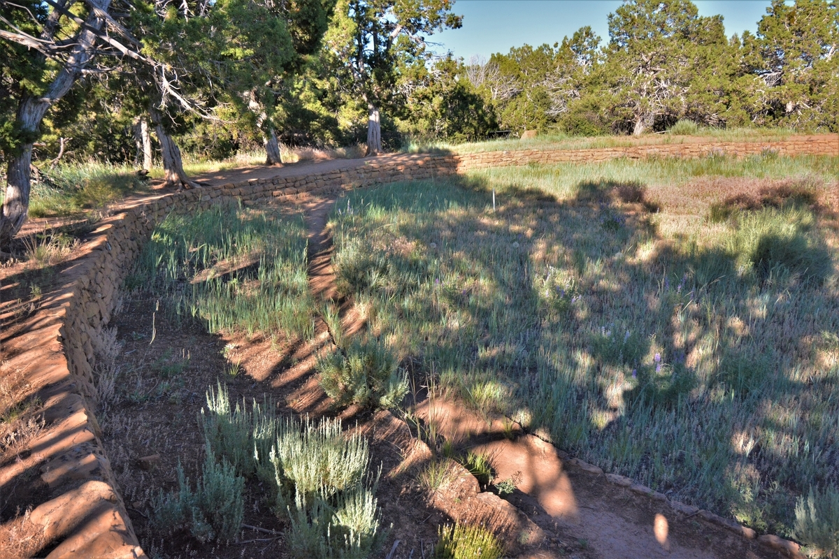 f:id:TraProak:20191215194410j:plain f:id:TraProak:20191215194410j:plain