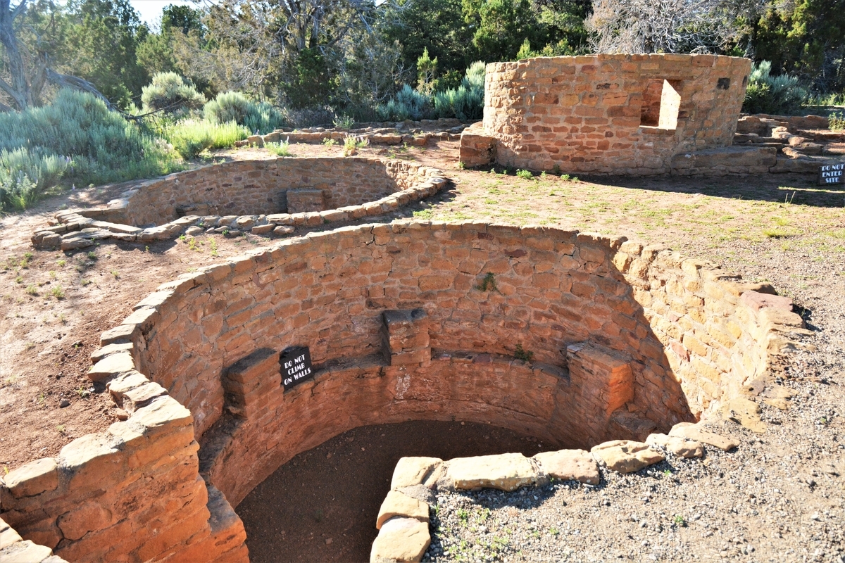 f:id:TraProak:20191215194631j:plain f:id:TraProak:20191215194631j:plain