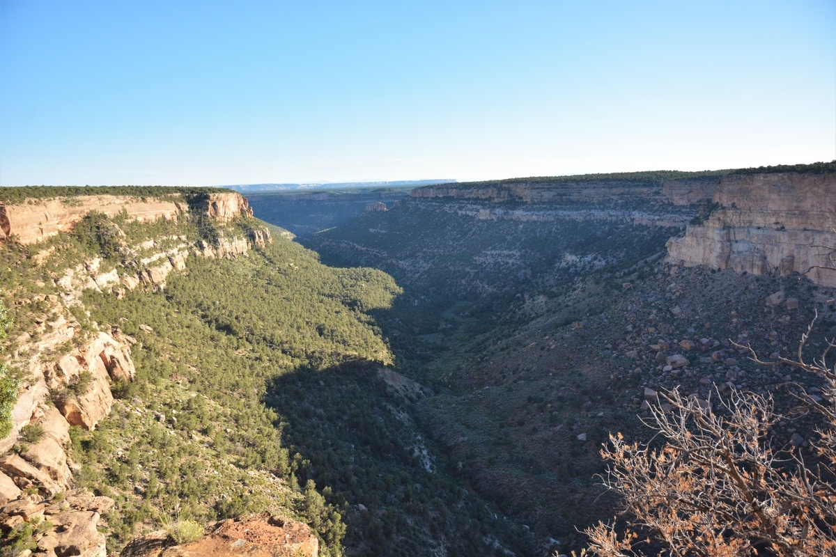 f:id:TraProak:20191215195620j:plain f:id:TraProak:20191215195620j:plain