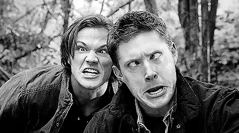 f:id:Tranquilo:20170703225016j:plain