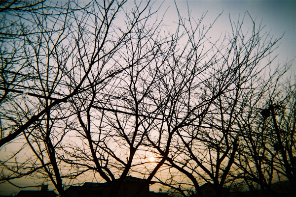 f:id:Transfer:20060328115357j:image