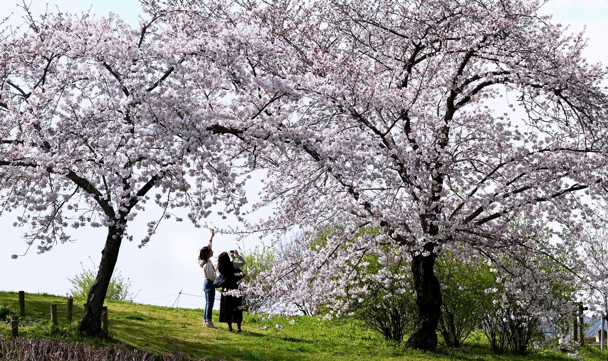 f:id:Travel-info:20200403191750j:plain