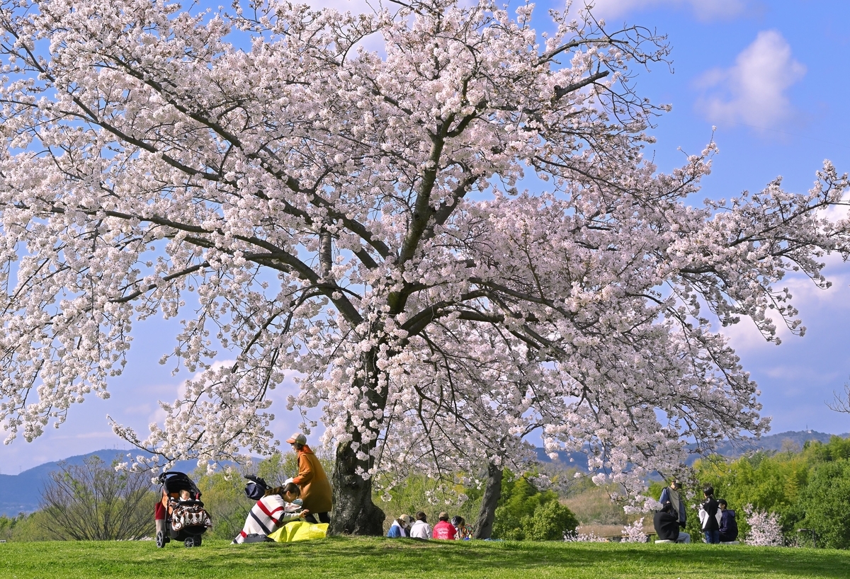 f:id:Travel-info:20200403192731j:plain