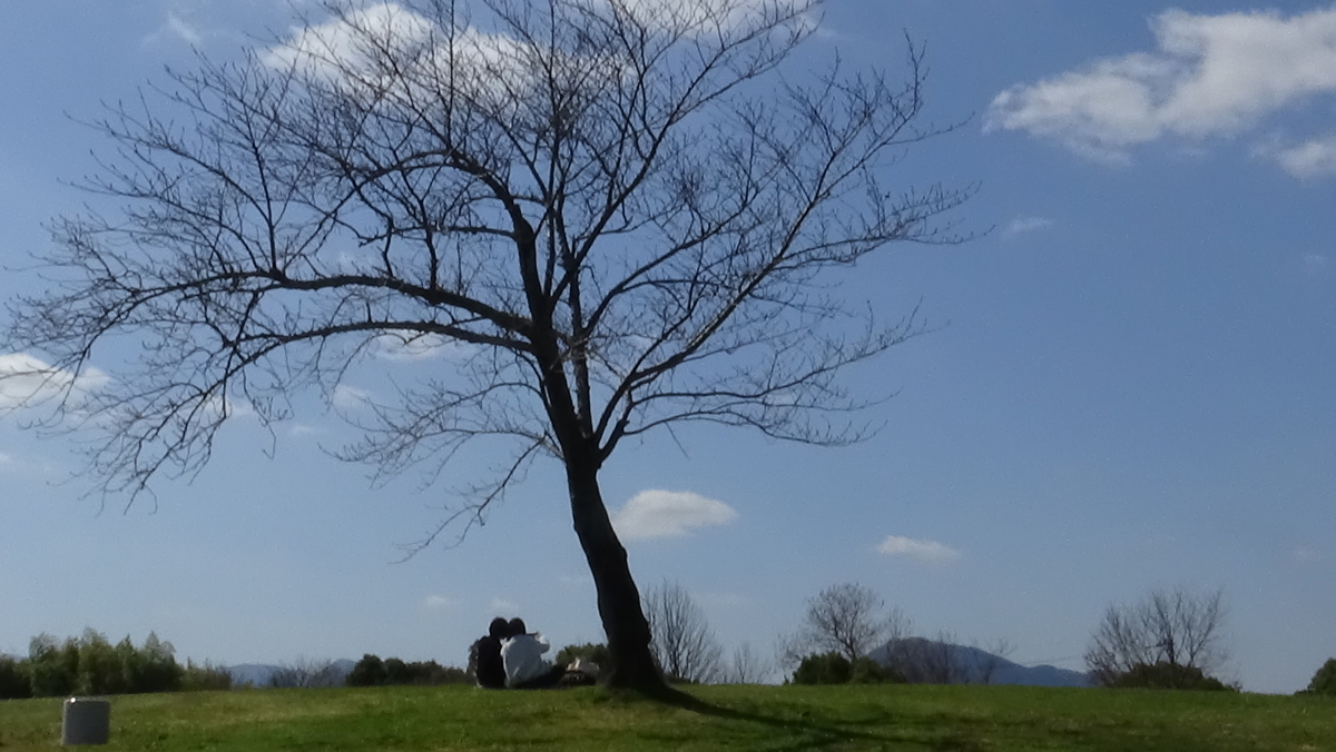 f:id:Travel-info:20200403193201j:plain