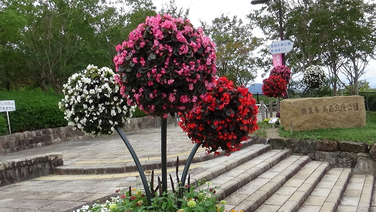 f:id:Travel-info:20200902075225j:plain