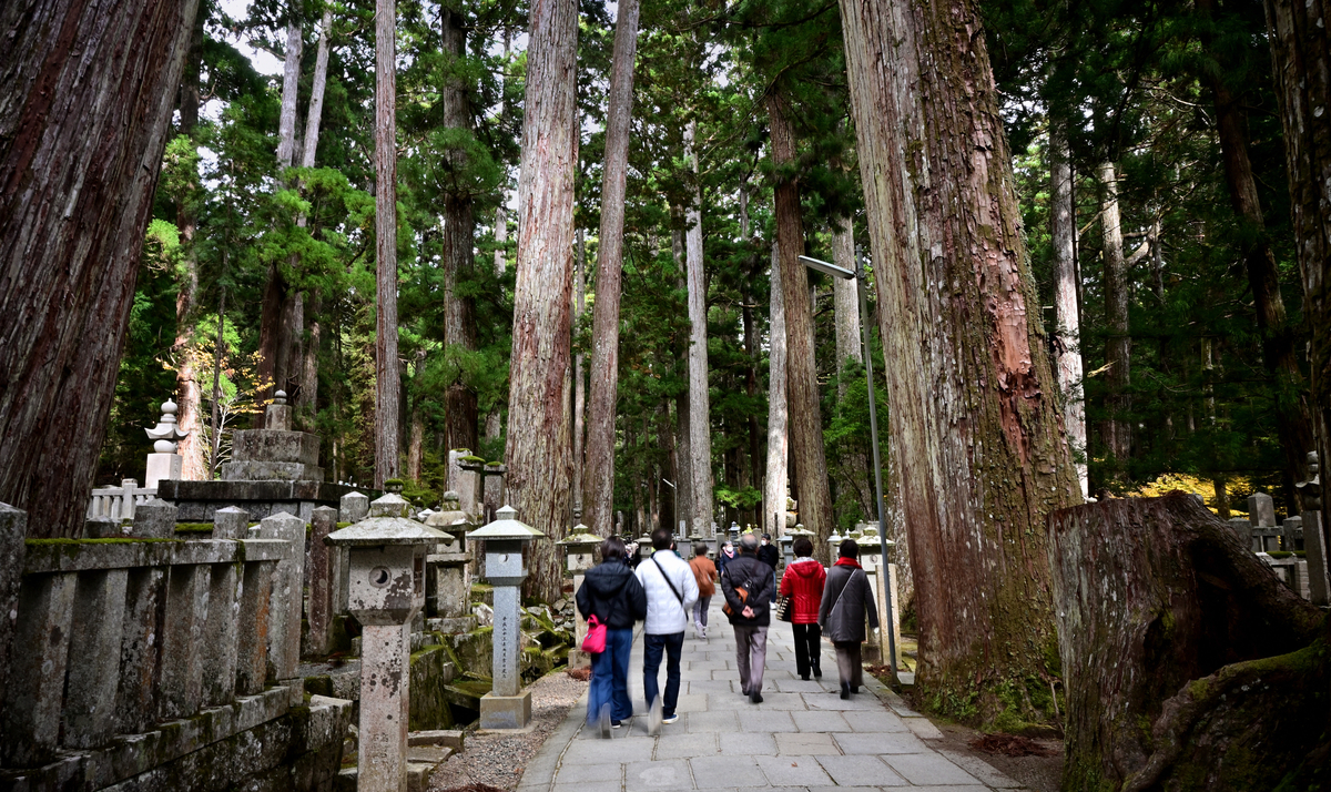 f:id:Travel-info:20201104054523j:plain
