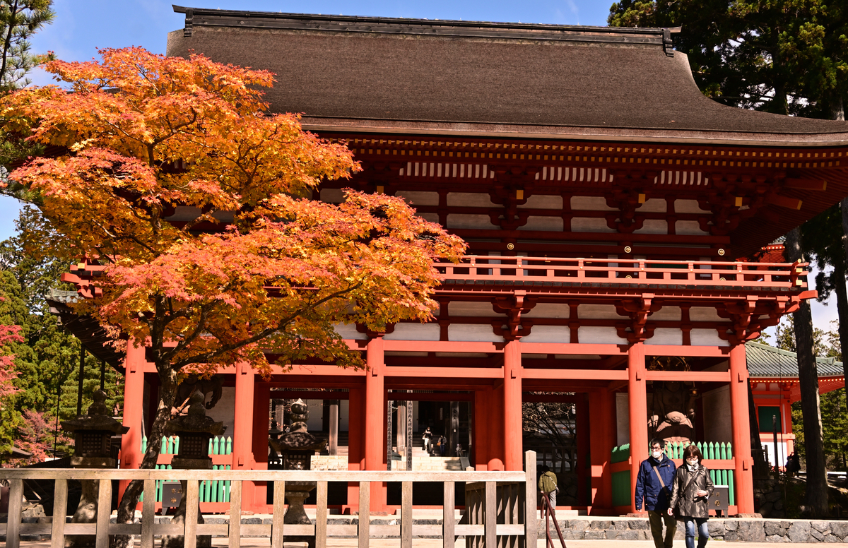 f:id:Travel-info:20201106061040j:plain