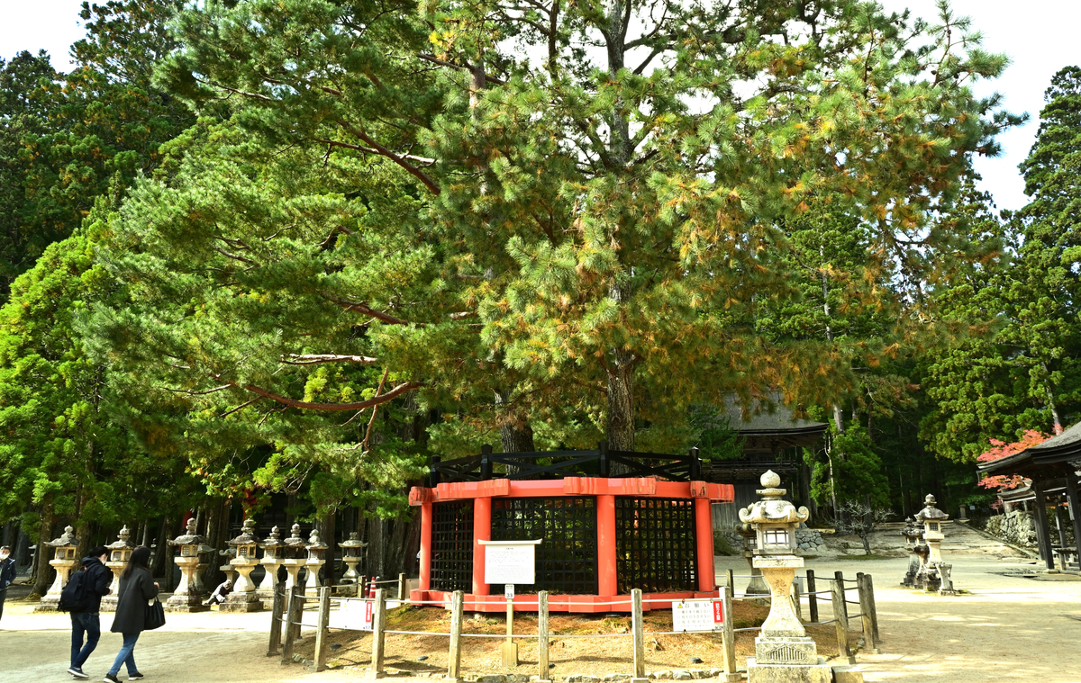 f:id:Travel-info:20201106085117j:plain
