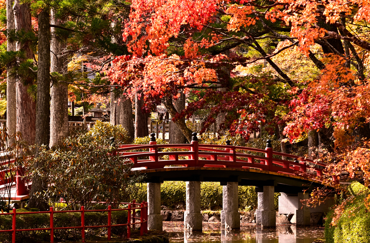 f:id:Travel-info:20201106090244j:plain