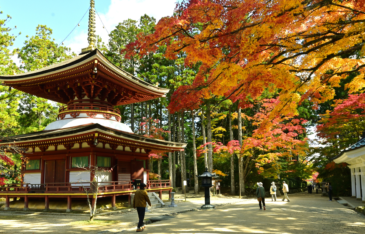 f:id:Travel-info:20201106171432j:plain