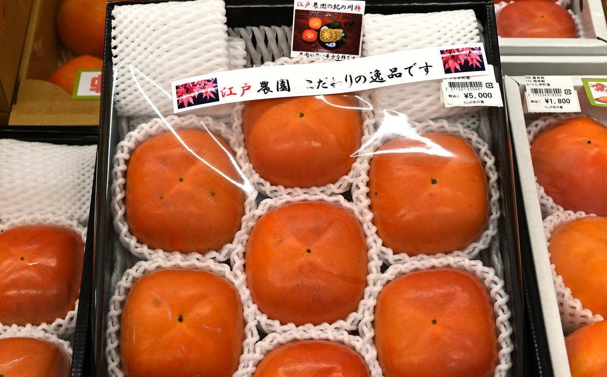 f:id:Travel-info:20201108051432j:plain