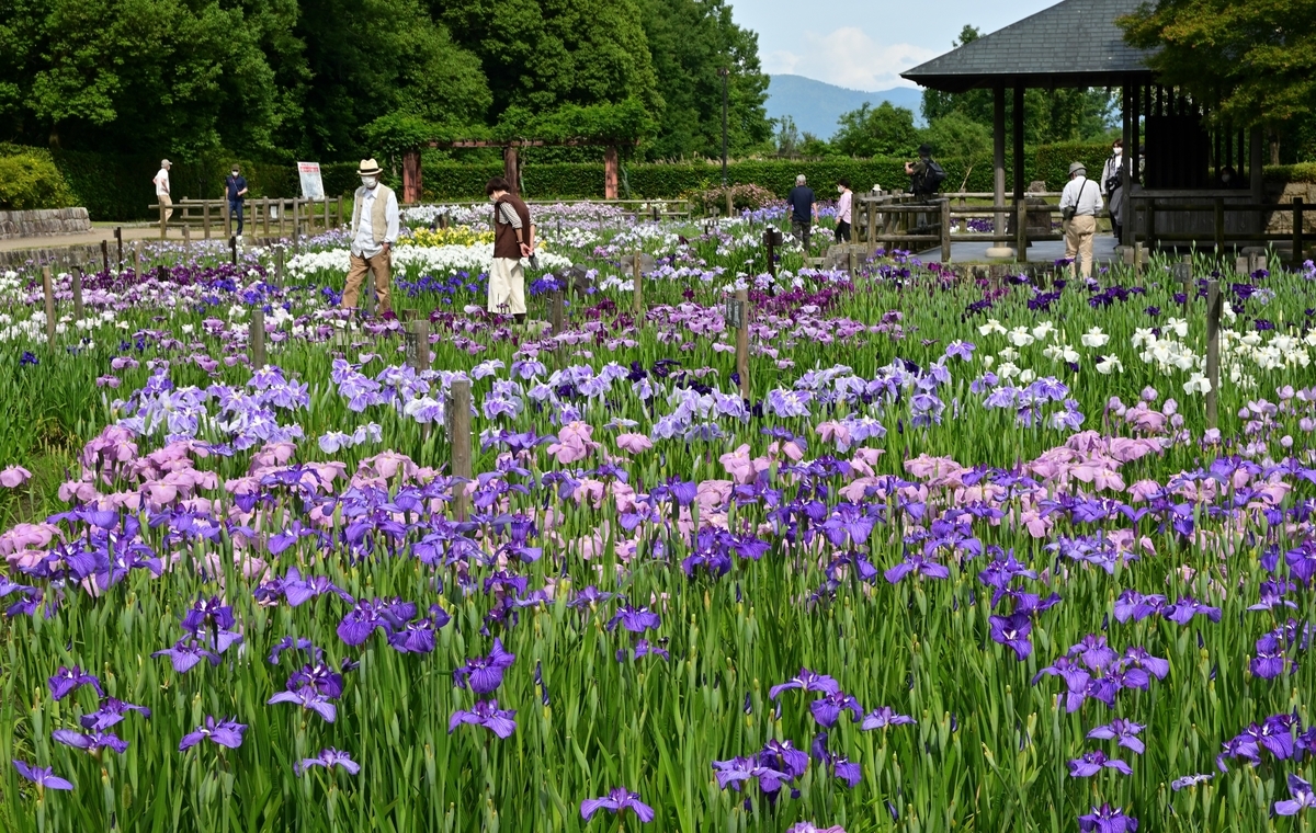 f:id:Travel-info:20210607114120j:plain