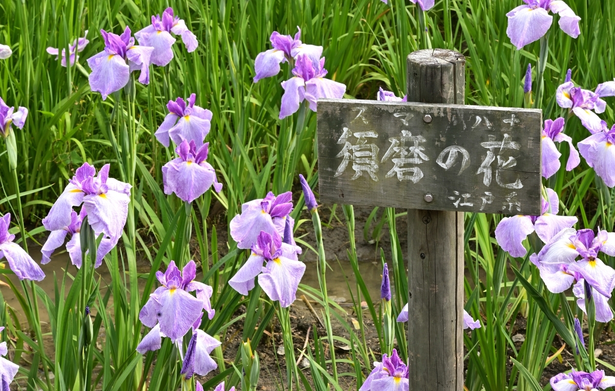 f:id:Travel-info:20210607120507j:plain