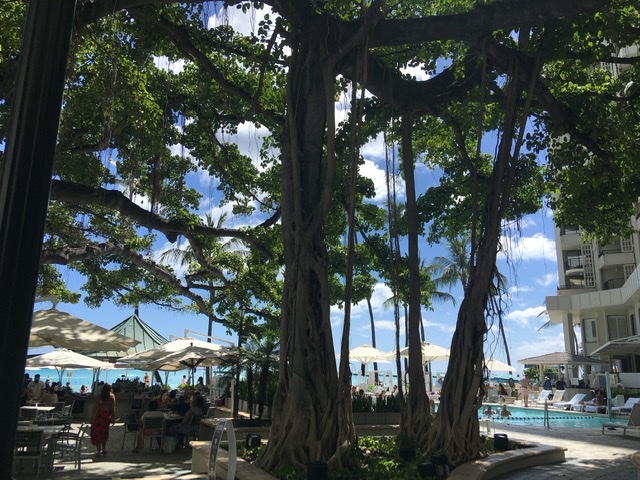 f:id:TravelBlogger:20210523230410j:plain