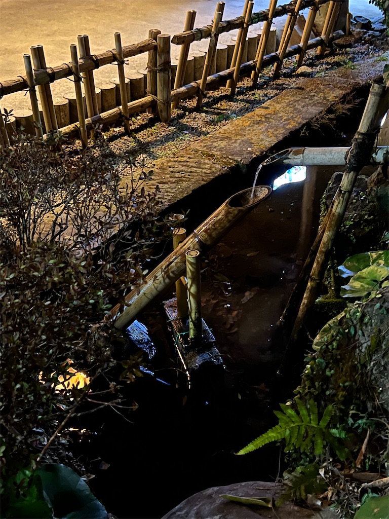 f:id:Travelswamp:20220410231516j:image