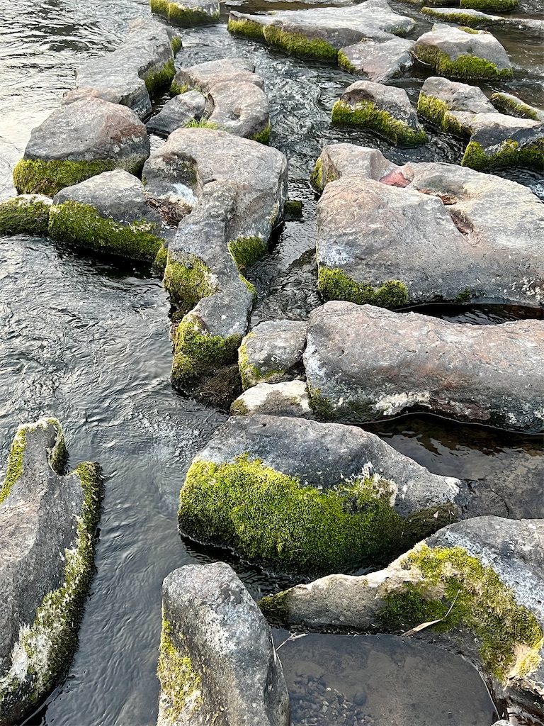 f:id:Travelswamp:20220412213421j:image
