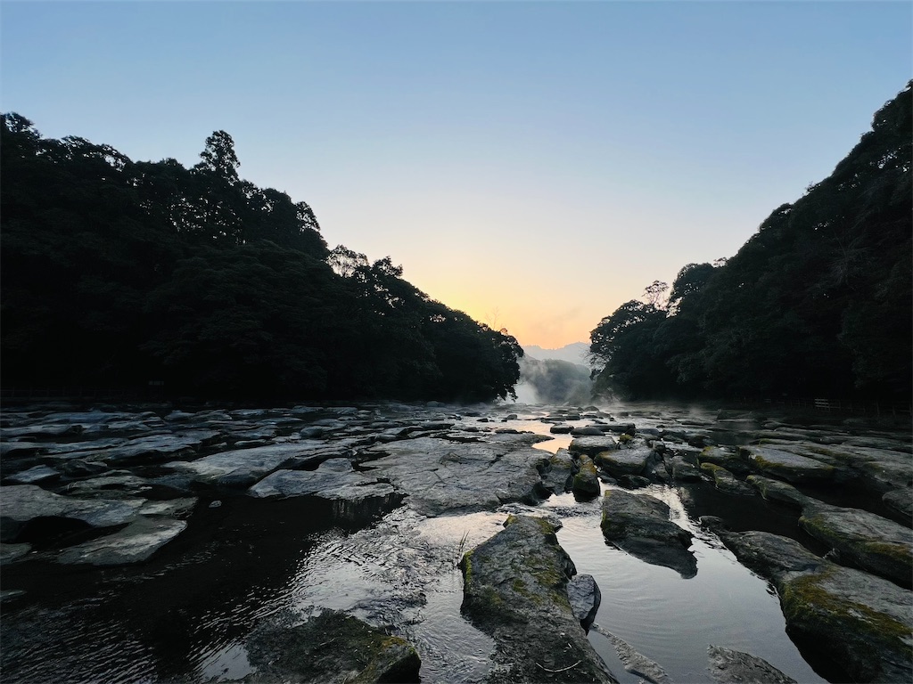 f:id:Travelswamp:20220412213433j:image
