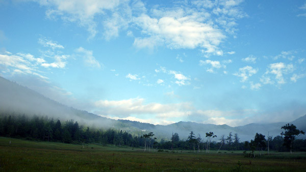 f:id:Treefrog:20090905065558j:image f:id:Treefrog:20090905065558j:image