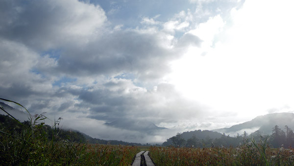 f:id:Treefrog:20090905071512j:image f:id:Treefrog:20090905071512j:image