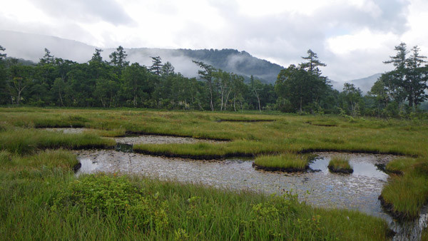 f:id:Treefrog:20090905072221j:image f:id:Treefrog:20090905072221j:image