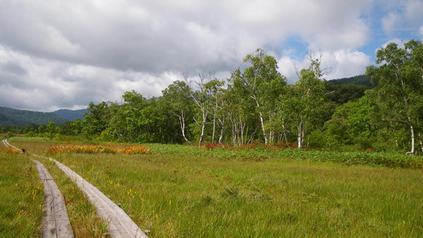 f:id:Treefrog:20090905092510j:image f:id:Treefrog:20090905092510j:image